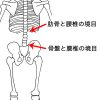 腰椎の境目