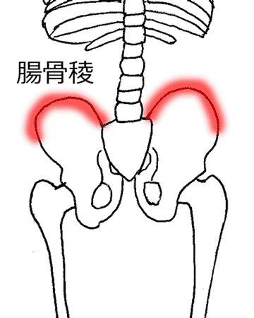 腸骨稜